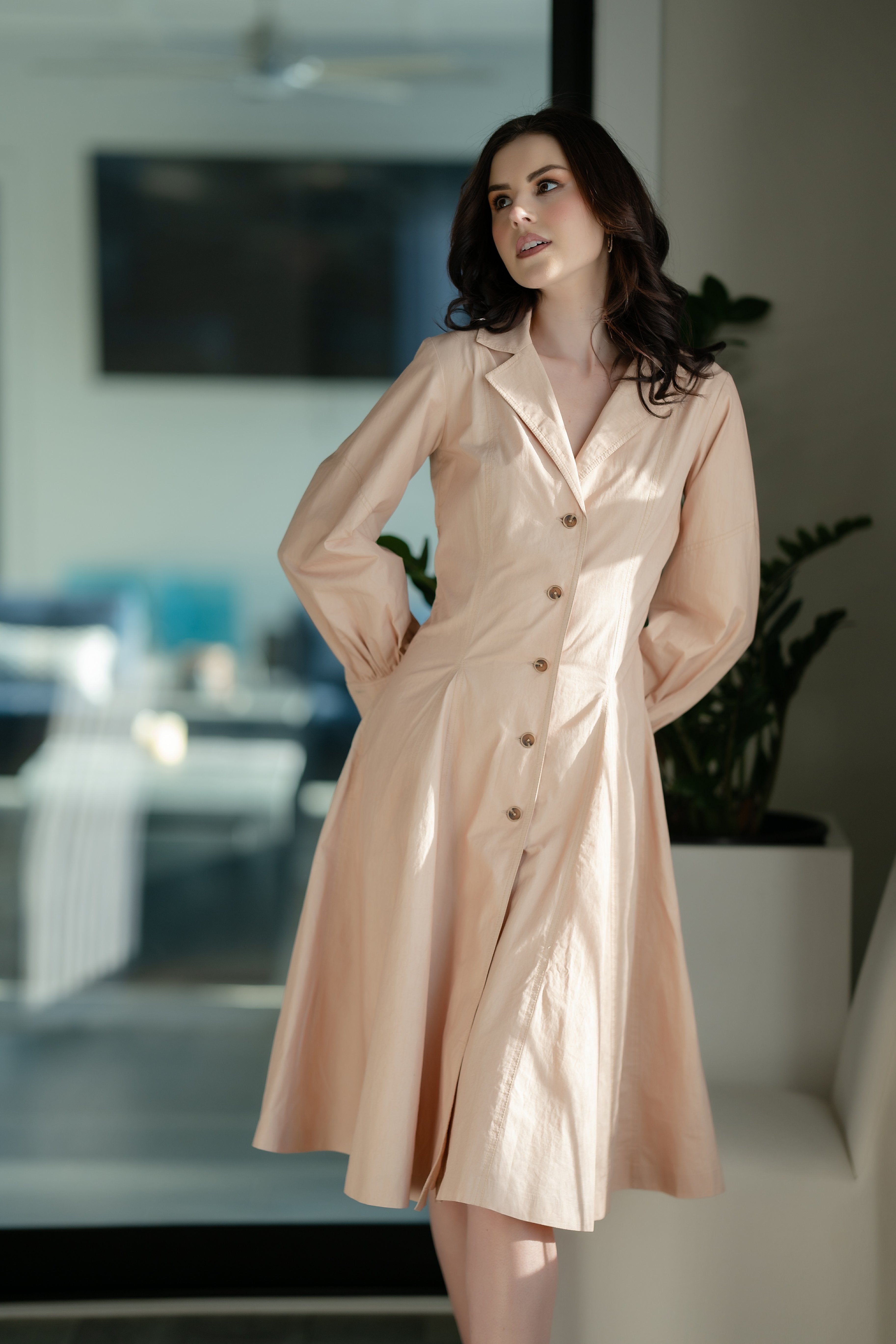 City Pulse Tailored A-Line Trench Dress – laxakaar